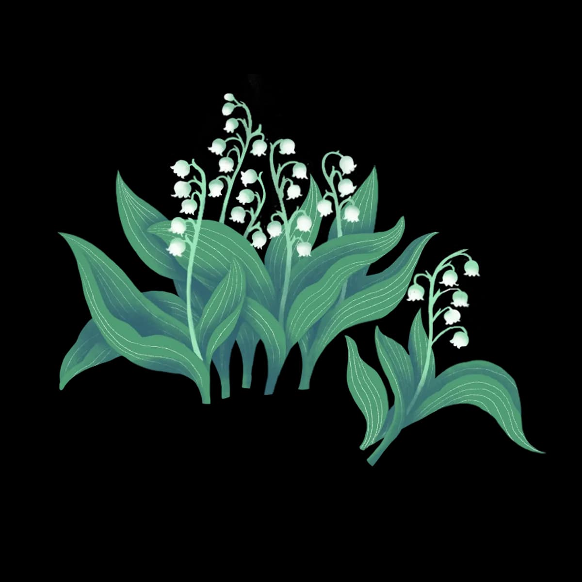 Lily of the Valley