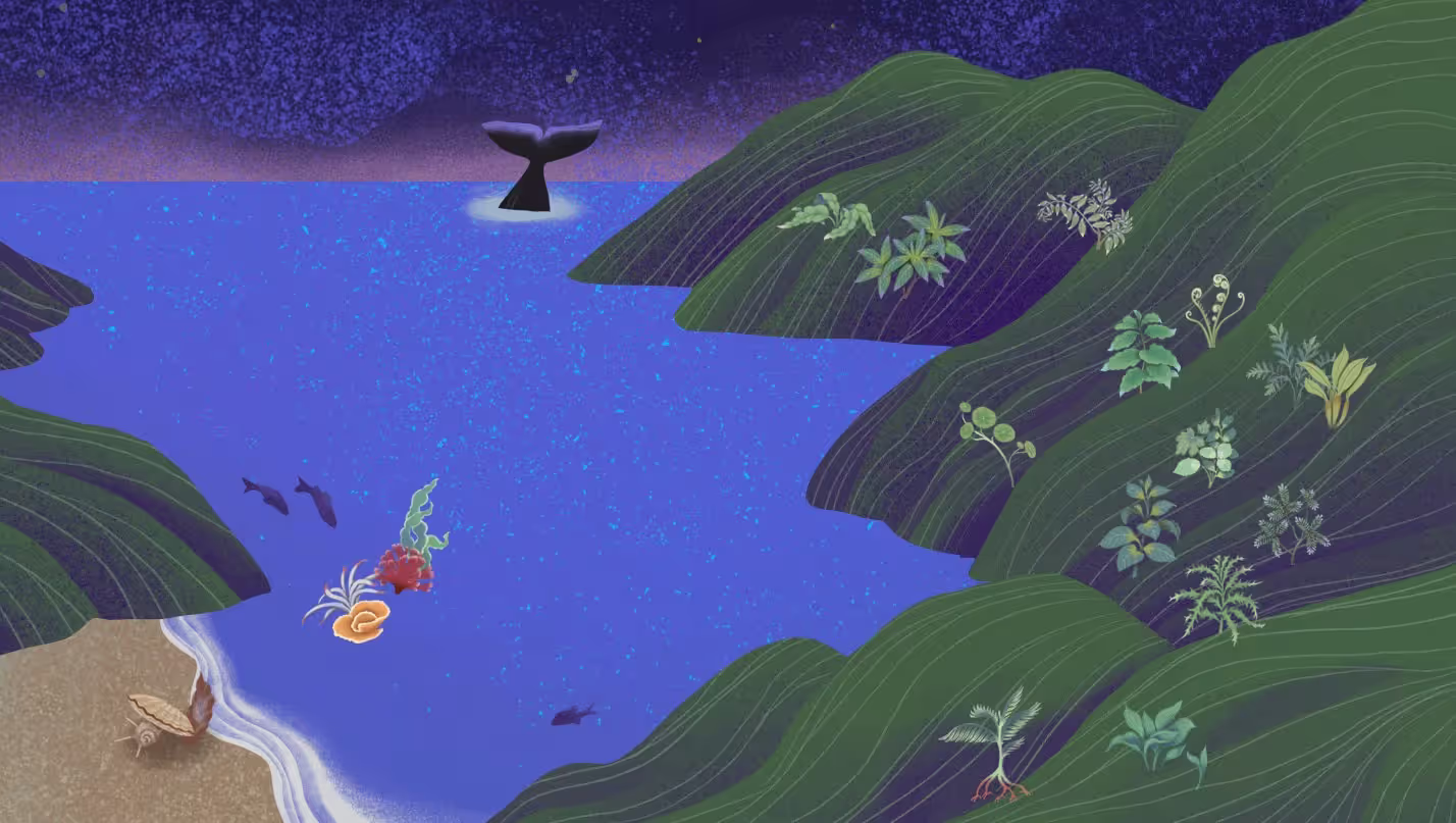 The Region of The Mountain Druids